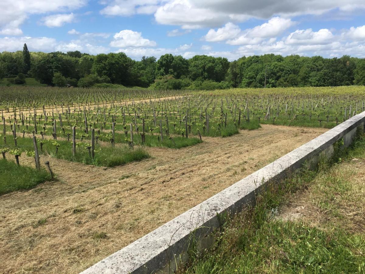 Dom Peyreton Prestige Cottages Set In A Charming Wine Property Villegouge 外观 照片